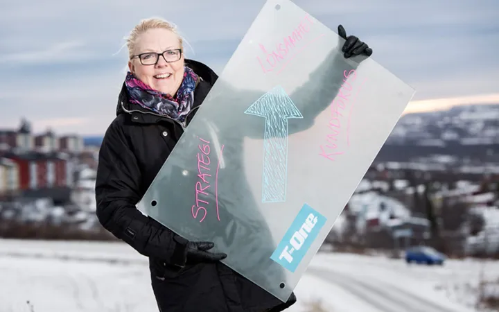 Tone Strålind företagssrådgivning.