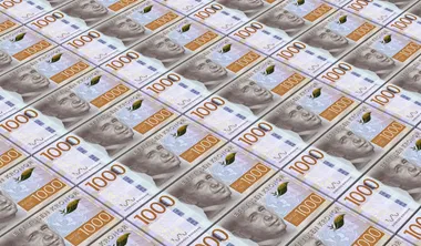 Lån till enskilda firmor