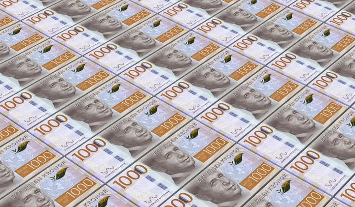 Lån till enskilda firmor