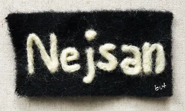 Nejsan