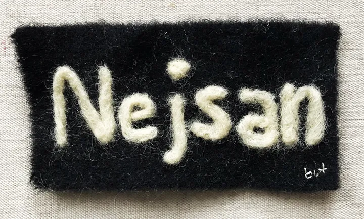Nejsan