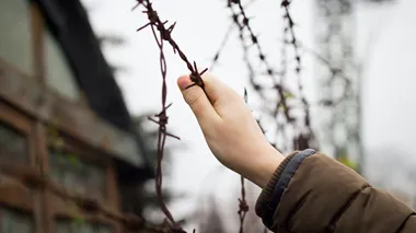 Så här stöttar Sveriges främsta entreprenörer Ukraina – kan du haka på?