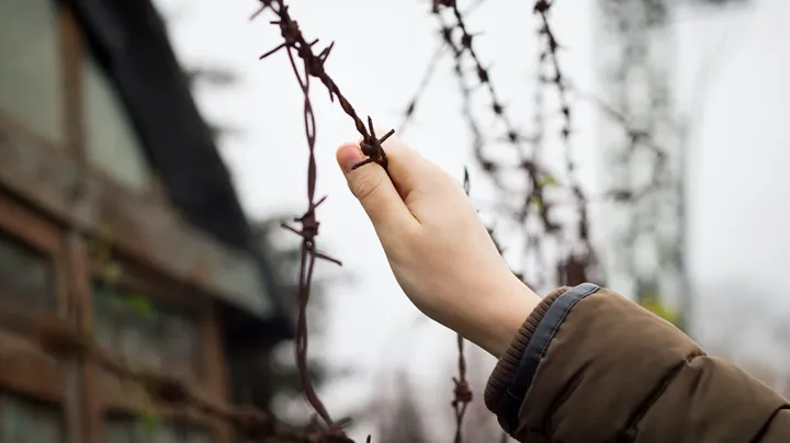 Så här stöttar Sveriges främsta entreprenörer Ukraina – kan du haka på?