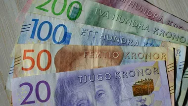 Elstödet: Hushållen först men inga pengar innan jul – företagen får vänta?