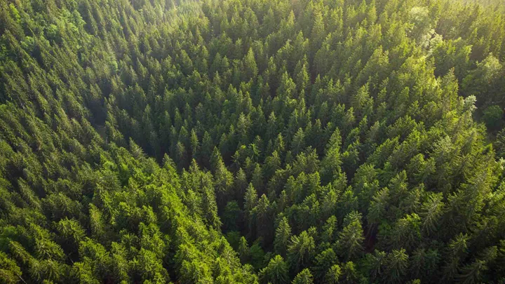 Veckans senaste – vikten av berättelsen, trätrosorna och veckans podd