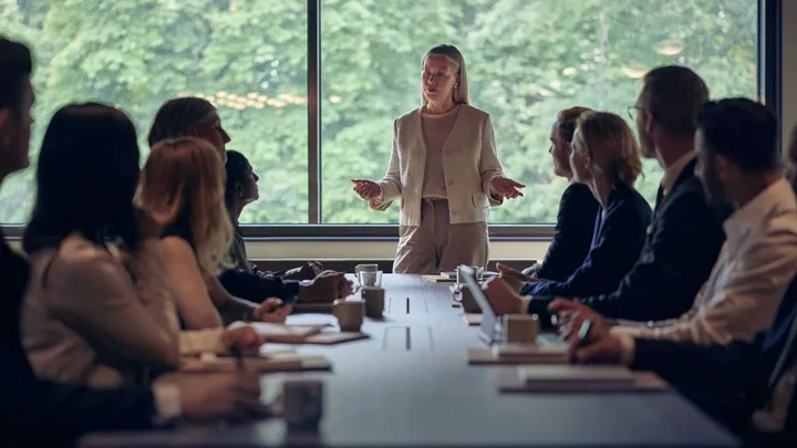 lån eller riskkapital