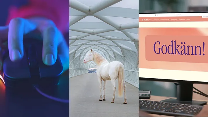 Nyheter i deklarationen 2023