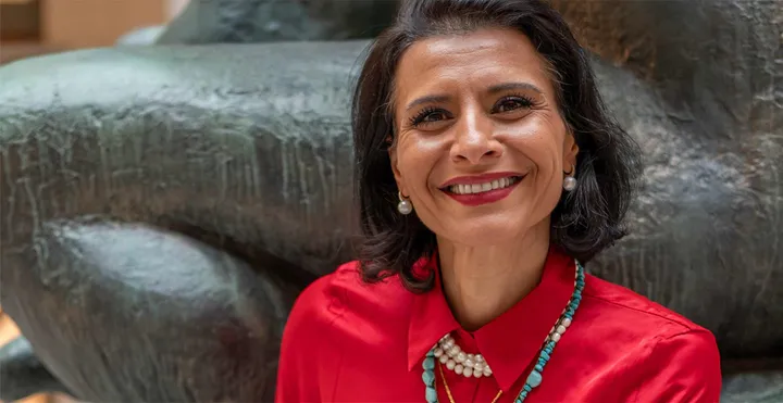 EU-valet småföretagare Centerpartiet – Abir-Al-Sahlani