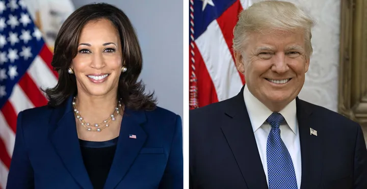 USA-valet 2024: Så påverkas ditt företag