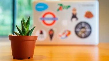 Va¨lja ra¨tt fo¨retagsnamn