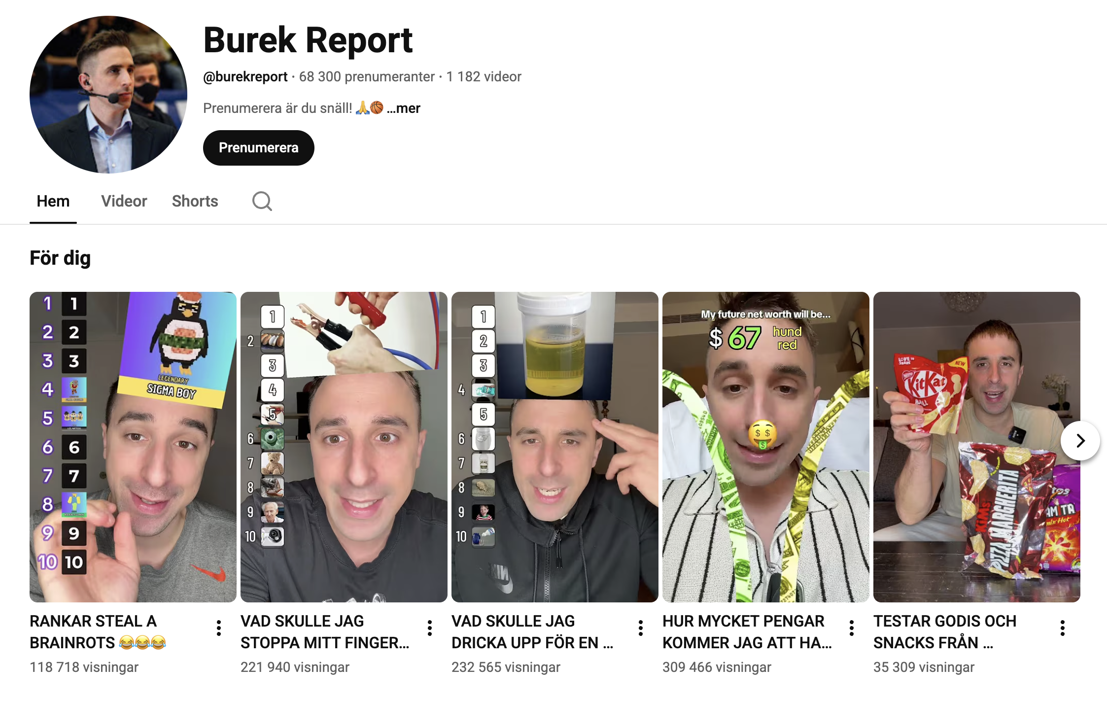 Burek_Report