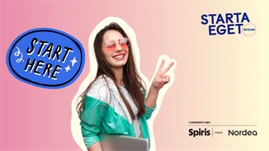 Starta eget som ansta¨lld (detta ma°ste du veta)