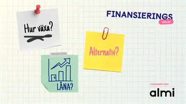 Olika sa¨tt att finansiera sma° fo¨retag – la°n, a¨garkapital och alternativ