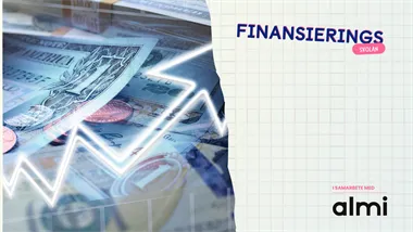 Riskkapital – var det finns och vad de vill ha