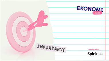 Sa° sa¨tter du upp ekonomiska ma°l i fo¨retaget